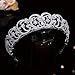 Aoligrace CZ Princess Diana Wedding Crowns for Bridal Spencer Replica Tiaras for Women Cubic Zirconia Prom Headpiece Sweet 16 Hair Accessories