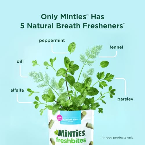 Image of Minties FreshBites Soft and Chewy Dental Treats, Low Calorie Natural Mint Flavored Dental Chews for Dogs, 100 Count, Dog Chews Clean Teeth, Fight Bad Breath, Removes Plaque and Tartar