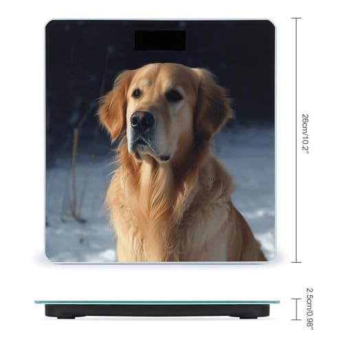 Báscula Digital para Baño con Pantalla LCD y Alta Precisión miniatura 2