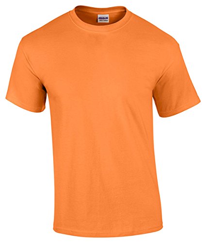 Image of Gildan Men's G500 T-Shirt