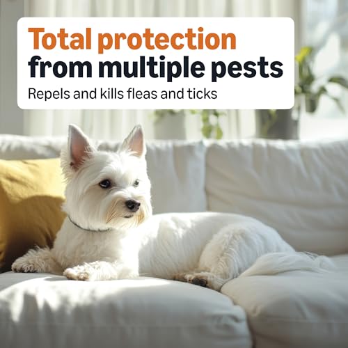 Image of Amazon Basics Preventative Flea and Tick Topical Treatment for Small Dogs (5-22 pounds), 6 Count, Packaging May Vary