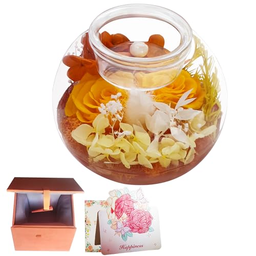 vU[uht[ v[g  av[g 2ւKN ޏ  Lhz_[ ͂Ȃ Mtg j ̓ zCgf[ ސEj hV̓   {bNXt IW