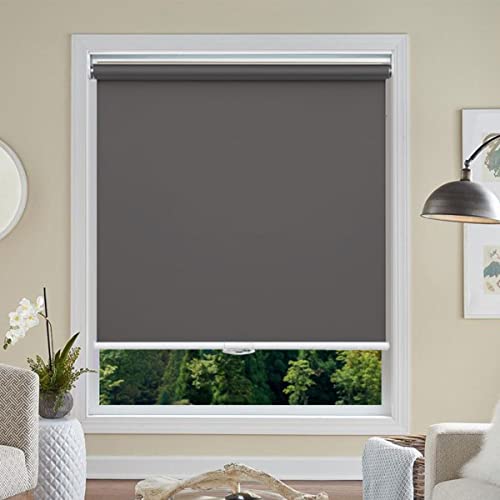 Cordless Roller Blinds Blackout Window Blinds and Shades Customized Size Spring Blinds Privacy Waterproof Thermal Insulated Fabric Curtain UV Protection for Home Office, 65