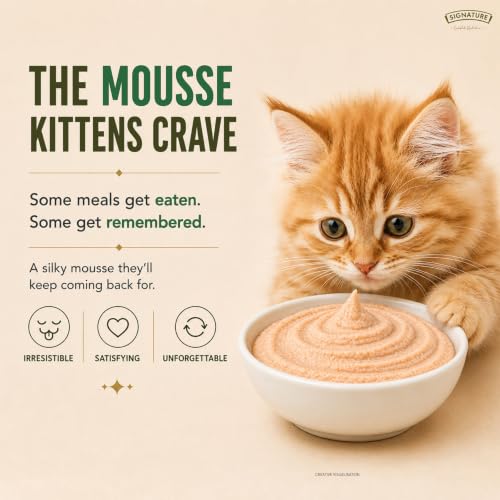Image of Grain Zero Kitten Wet Mousse 80g Pack of 5, 400g | Tuna Flavour | Rich in Protein, Hydrating & Easy to Digest | Grain Free, No Artificial Flavours | with Essential Vitamins & Antioxidants