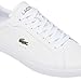 Lacoste Men's Powercourt Leather Sneakers, White/Black, 8.5