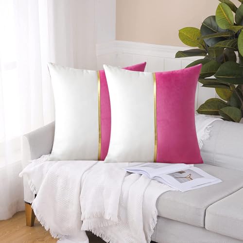 Image of HIMS Velvet Sofa Pillow Cover Set of 2, Luxury Cushion Cover 24 inch x 24 inch for Decorative Living Room Sofa Bedroom Car (24x24 Inch, Pink)