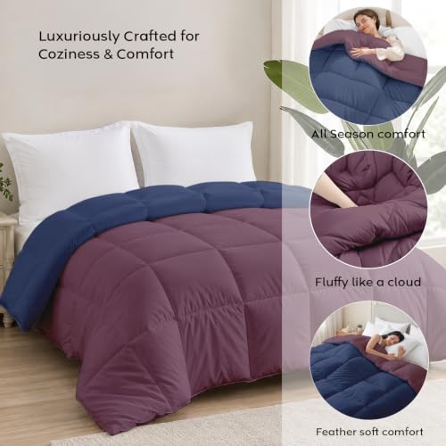 Image of AYKA Reversible Comforter 220 GSM Microfiber Reversible AC Comforter /Blanket for Winter /Quilt /Dohar /Duvets for King Size Blanket /Comforter Double Bed (Plum & Navyblue, 90 * 100 inch)