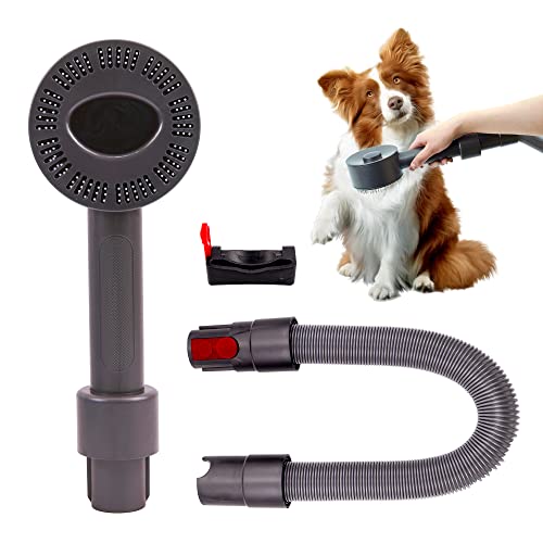 Find The Best Dyson For Cat Hair Reviews & Comparison Katynel