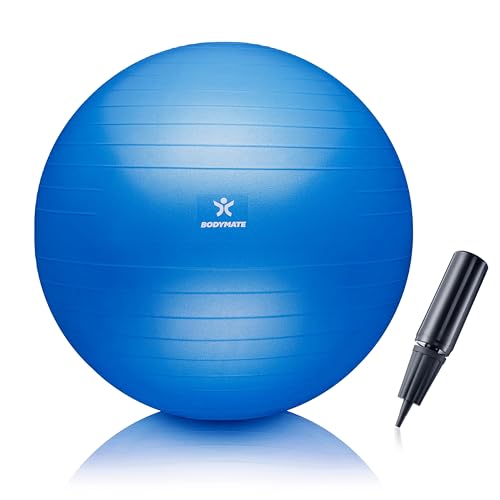 BODYMATE Ballon Fitness + Pompe Incluse + E-Book Gratuit Bleu