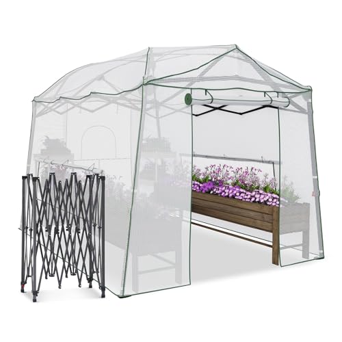 Yokayoay 11 x 8.5 x 7.5 FT Walk-in Greenhouse, Portable