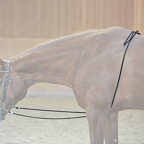 Foto von Kavalkade HO-Longierhilfe, schwarz, 261060000200