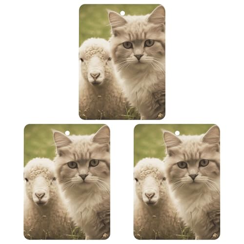 ԗpF LƗr݂̒艺A}Zs[^ubg jp 3_ `