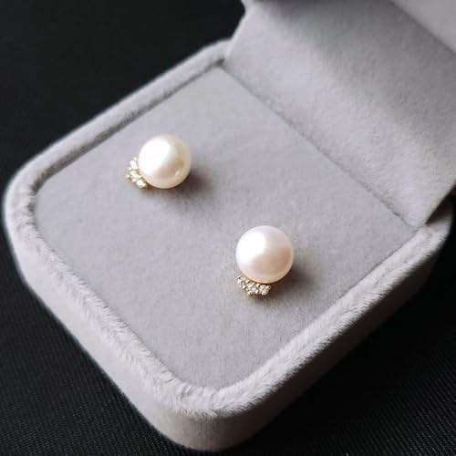 010Pb sAX ꗱp[ _C S999 Vv 