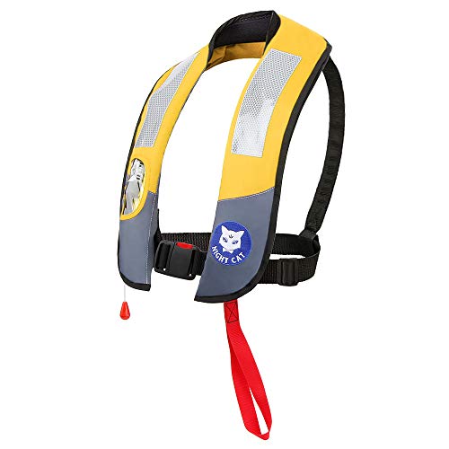 10 Best Life Jackets for Cats to Keep Your Feline Friend Safe and Stylish