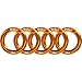 GM CLIMBING Rappel Ring 25kN for Rock Climbing Arborist Rescue Slackline Hammock Large Gold Pack of 5