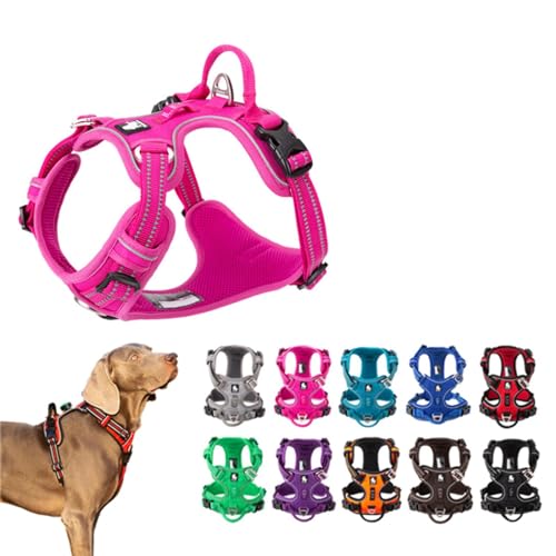 [FRENCH FRENCH] t`uhbO  \tgn[lX n[lX ^ ^ ^ ^    S 10F ˑf 킢 Jt ԈS  NbV D KM685G (lIIW