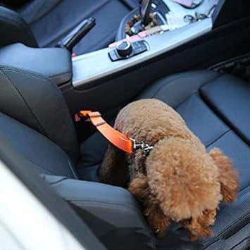 Dog Car Seatbelts Adjustable Pet Seat Belt for Vehicle Nylon Pet Safety Seat Belts Heavy Duty & Elastic & Durable Car Seat Belt for Dogs, Cats and Pets (Seat Belt Normal, Seat Belt Normal, Orange) 3