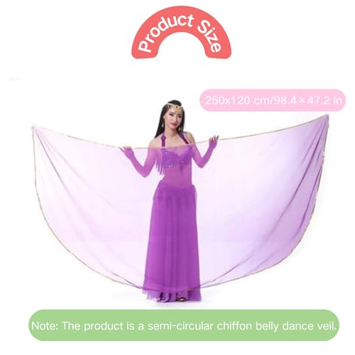 Chiffon Belly Dance Veil Lightweight Belly Dance Scarf Belly Dance Hip Scarf Sequin Trim Gold Shawls Veils4
