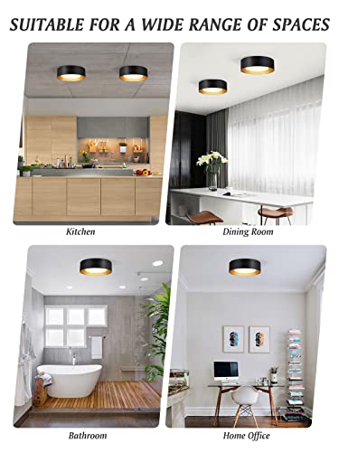 Vikaey Modern Flush Mount Ceiling Light, Minimalist Close To Ceiling Lighting Fixture, Acrylic Ceiling Lamp For Bedroom Hallway Bathroom Laundry Room, Black, 12.5'' #TOP6