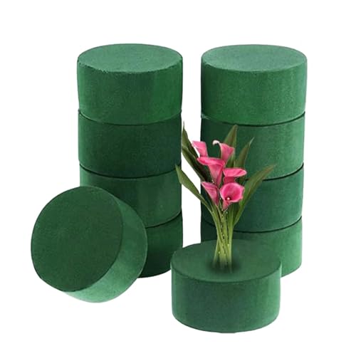 10-Pack Floral Foam Rounds, Styrofoam Blocks for Fresh & Artificial Flowers, Wedding & Home Decor Floral Arrangement Supplies, Easy-Cut Oasis Floral Foam for Florists and DIY Bouquets (10)