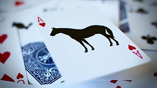 2 Decks the Humane Society Bicycle Playing Cards