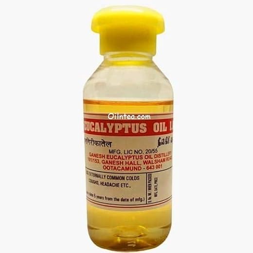 Nilgiris Eucalyptus Oil 100ml 100 ml