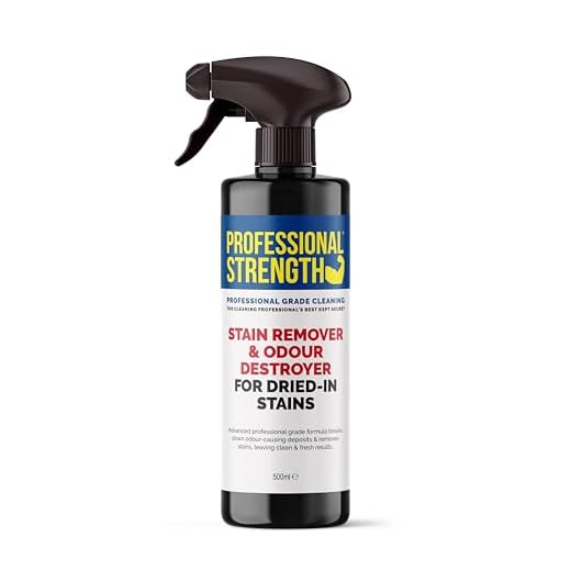 Enzyme Dried-In Stain Remover Spray