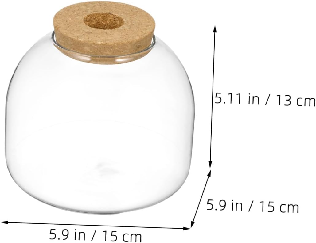 2pcs Microlandscape Ecological Glass Bottles with Cork Stopper, Moss Plant Container for Desktop Succulent Terrarium and Hydroponic Micro Landscape Decor