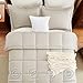 CozyLux Full Size Comforter Sets - Beige Comforter Full Size, 3 Pieces Box Stitched Bed Set for All Seasons, Soft Lightweight Bedding Sets with 1 Down Alternative Comforter and 2 Pillow Shams
