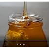 Miami Honey | Local Bee Honey (Allergy Season)