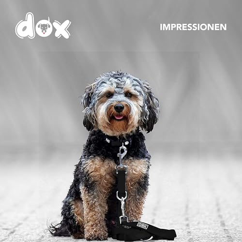 DDOXX Nylon Hundeleine - 2m, 3fach verstellbare Hundeleine für alle Hundegrößen - XS (Schwarz)