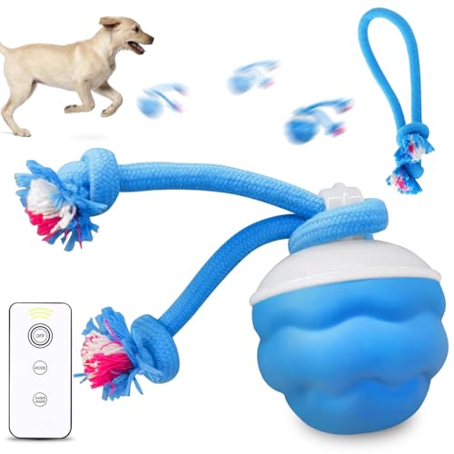 BORDEAG Pallina Interattiva Per Cani Palla Interattiva Per Cani Gioco Interattivo Per Cani Lancia Palline Per Cani Pallina Per Cani Interattiva palla attiva con coda fai da te, palla e cuccioli