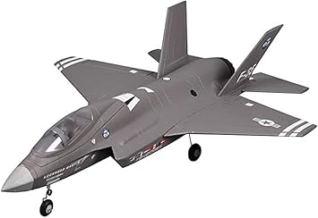 PRILSO Avión RC, Avión Teledirigido - con Motor Sin Escobillas, 2840-KV3900, Avión Teledirigido, Avión RC De 2,4 GHz 4 Canales,
