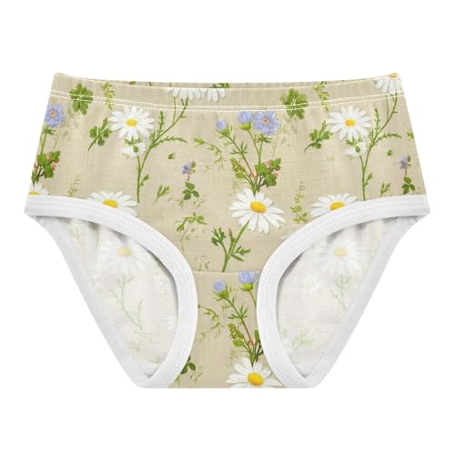 Vintage White Daisies Wildflowers Cute Panties Girl Girls Underwear Toddler Cotton Durable Kids Briefs Undies 2t