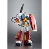 TAMASHII NATIONS - Plamo Kyoshiro - PF-78-1 Perfect Gundam ver A.N.I.M.E., Bandai Spirits The Robot Spirits