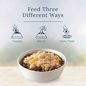 Blue buffalo fundamentals lid grain free salmon grownup canine 2 5oz pouch pack of 12   cucciolini doodles