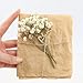 Imagen de Flores secas mini moradas en bulto