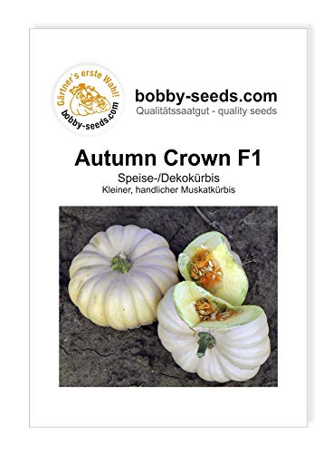 Autumn Crown F1 Kürbissamen von Bobby-Seeds, Portion