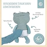 Bieco Frosch Kuscheltier Mit Schmusetuch | 30 cm | Plüschtier für Baby, Mädchen & Junge | Stuffed Animal | Süßes Stofftier