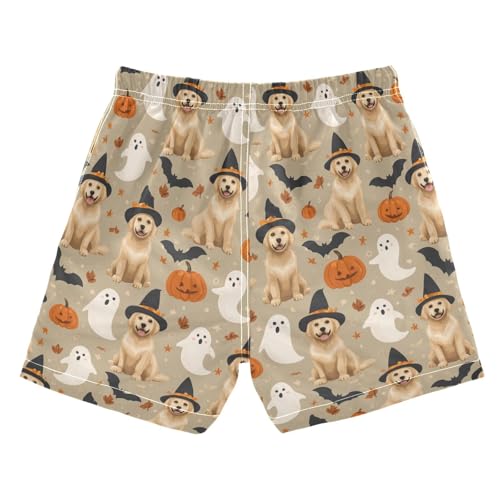 Boys Swim Trunks Quick Dry UPF 50+ Beach Board Shorts Kids Bathing Suits Swimsuit 2T Pumpkin Bat Golden Retriever2