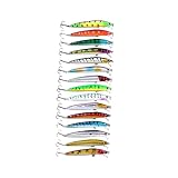 Kisangel 15個 バイオニックベイト りある lure bait 釣り餌 釣り鯉 鯉釣り道具 海釣りタックル 鯉釣りアクセサリー 釣り用品 バイオニックフィッシングアクセサリー ハードベイト