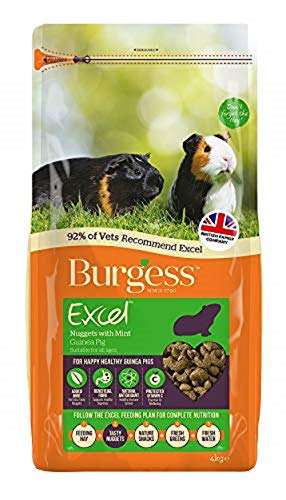 Burgess Excel Guinea Pig Nuggets with Mint 2kg