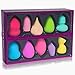 SHANY Blender Makeup Sponge Blending Puff Set for Liquid, Cream, and Powder Foundations and Concealers - Latex-free,High-density, Vegan, Multipurpose Multi Shapes, Assorted Colors - Gift Set 10 Pcs