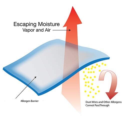 Aaf Textiles Brand Antiallergico Lusso Qualità