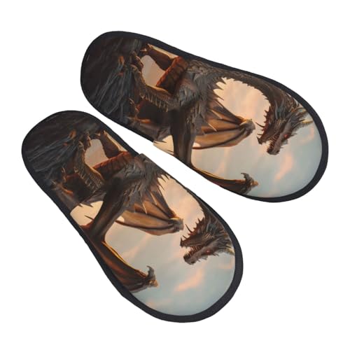 Sky Sunset Bronze Dragon Print Women Slippers Home Furry Shoes Keep Men Couples Shoes Warm For Women-2