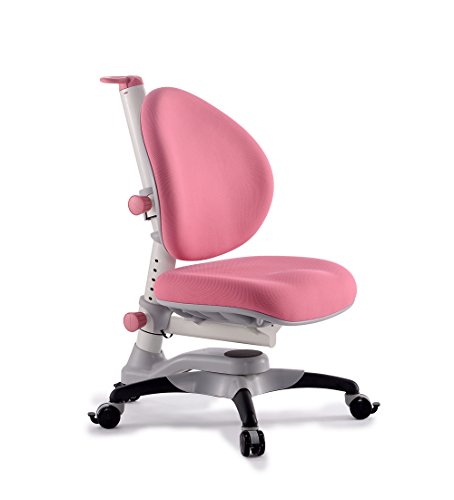 Best Ergonomic Desk For Kids