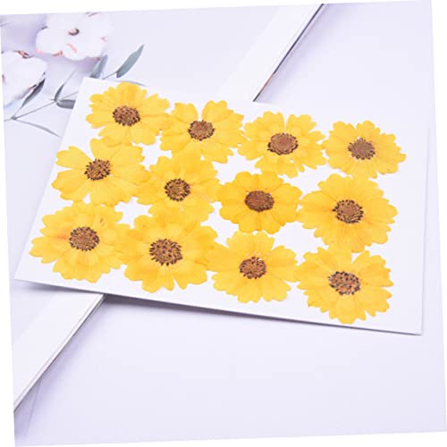 Kit de manualidades con flores secas DIY 24 piezas miniatura 5