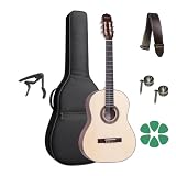 Violão Acústico Rozini Rx210 F Lp + Capa Luxo E Acessórios