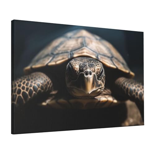 Impression sur toile tortue LPSRTWE 40x61 cm déco salon
