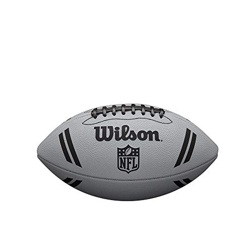 Image of WILSON NFL Recreational Footballs